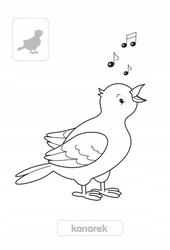 ZWIERZĘTA DOMOWE MALUCHY KOLORUJĄ 71177