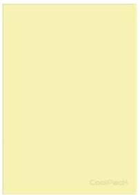 ZESZYT KRATKA A5 60 K. OKŁADKA PP YELLOW COOLPACK