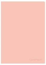 ZESZYT KRATKA A5 60 K. OKŁADKA PP PEACH COOLPACK