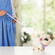 Little Live Pets Interaktywna Moja Owieczka chodzi 25 dźwięków Cobi