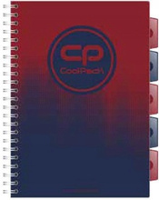 KOŁOZESZYT A4 100K KRATKA COOLPACK GRADIENT COSTA