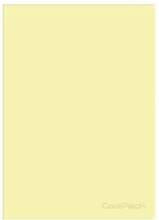 ZESZYT LINIA A5 60 K. OKŁADKA PP YELLOW COOLPACK