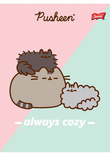 Zeszyt A5 linia podwójna dwukolorowa 32 kartki margines Pusheen Unipap